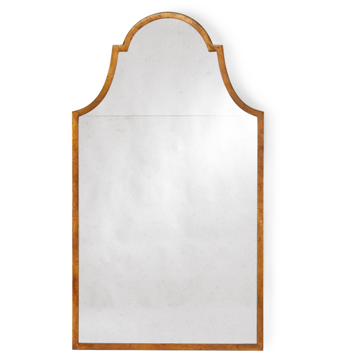 Lisa Kahn 50 X 28 inch Antique Gold Leaf/Antique Wall Mirror