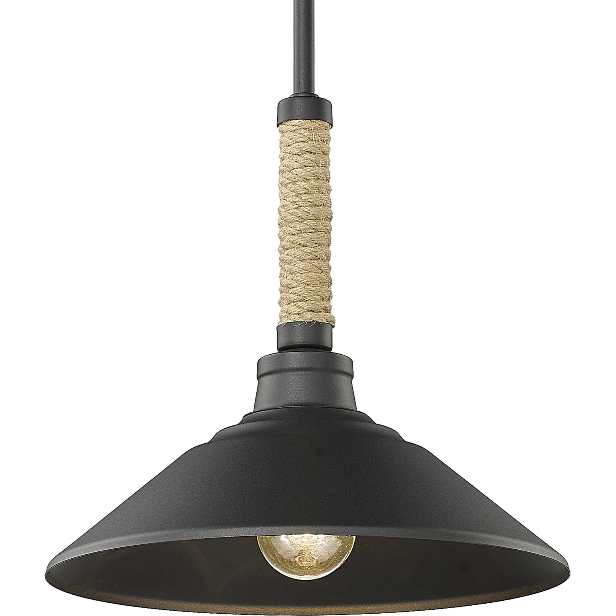 Journey 1 Light 12 inch Natural Black Pendant Ceiling Light