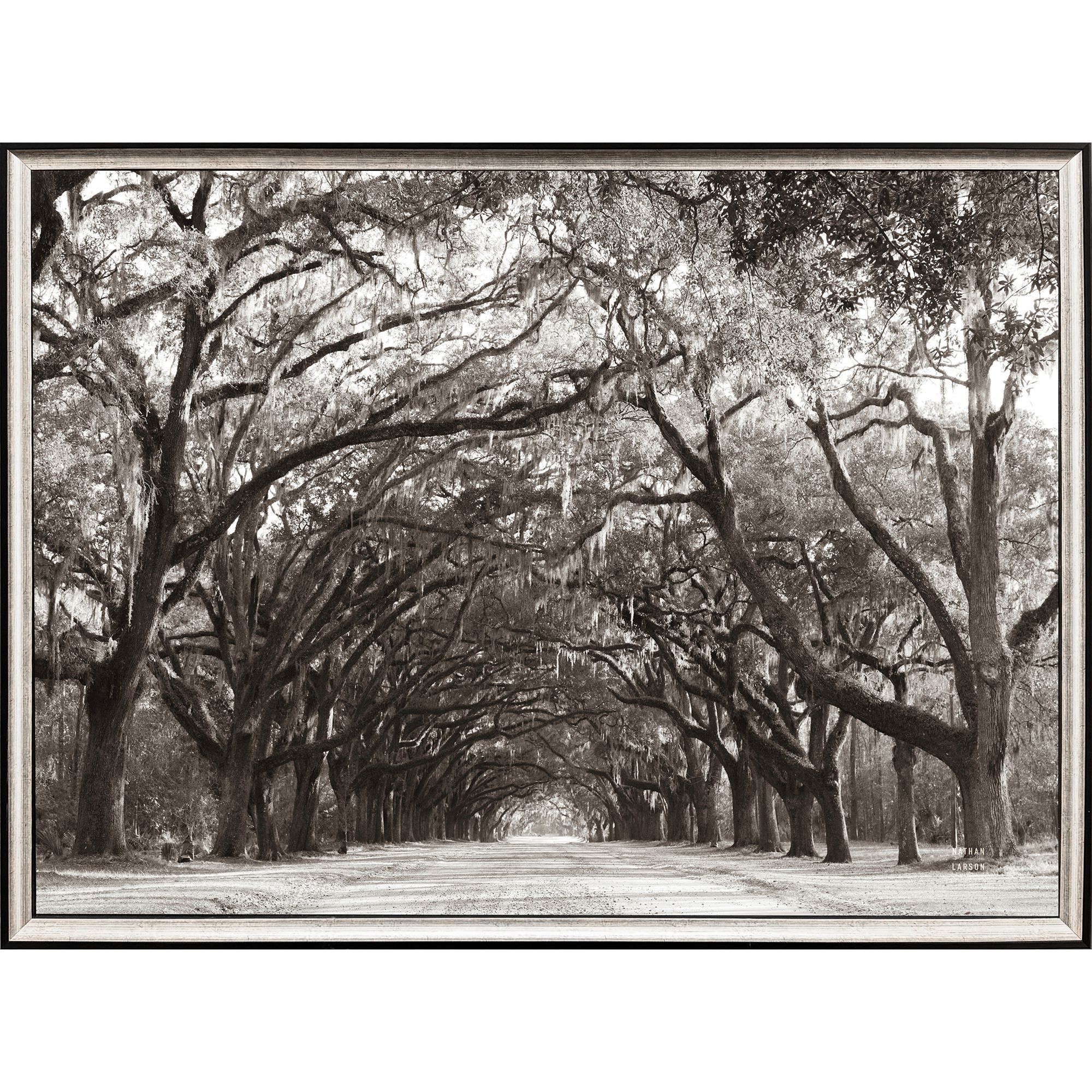 Propac 31 X 24 inch Non-Glass Framed Art, Propac