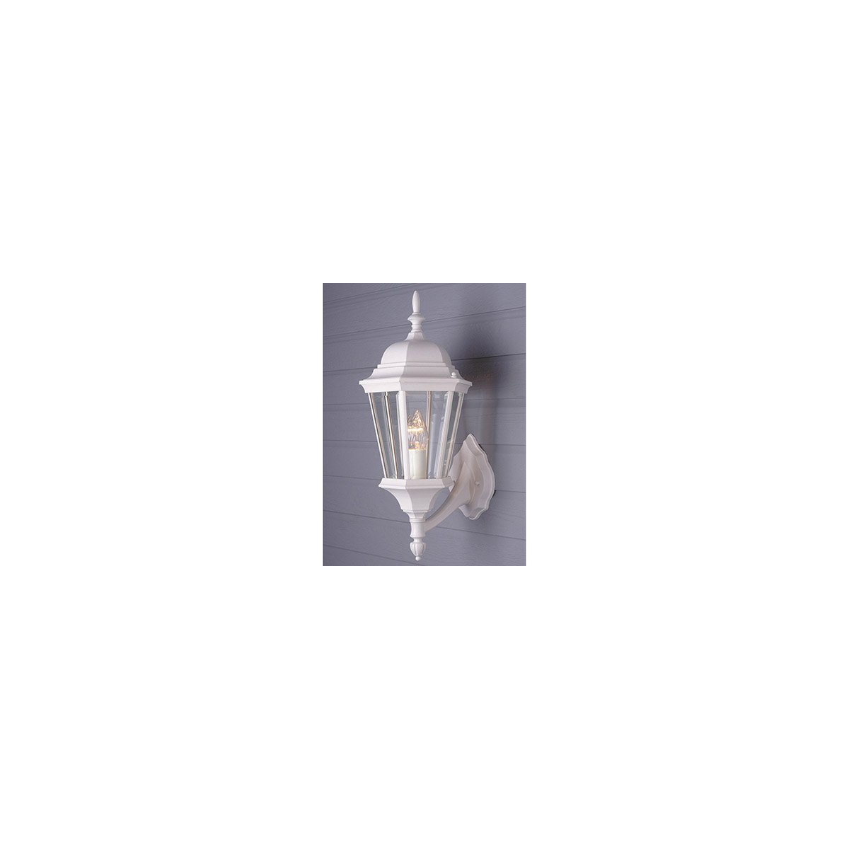 Signature 1 Light 23 inch Black Outdoor Wall Lantern in Clear Glass Beveled Edges
