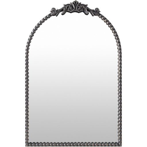 Aarlen 30 X 20 inch Antiqued Wall Mirror