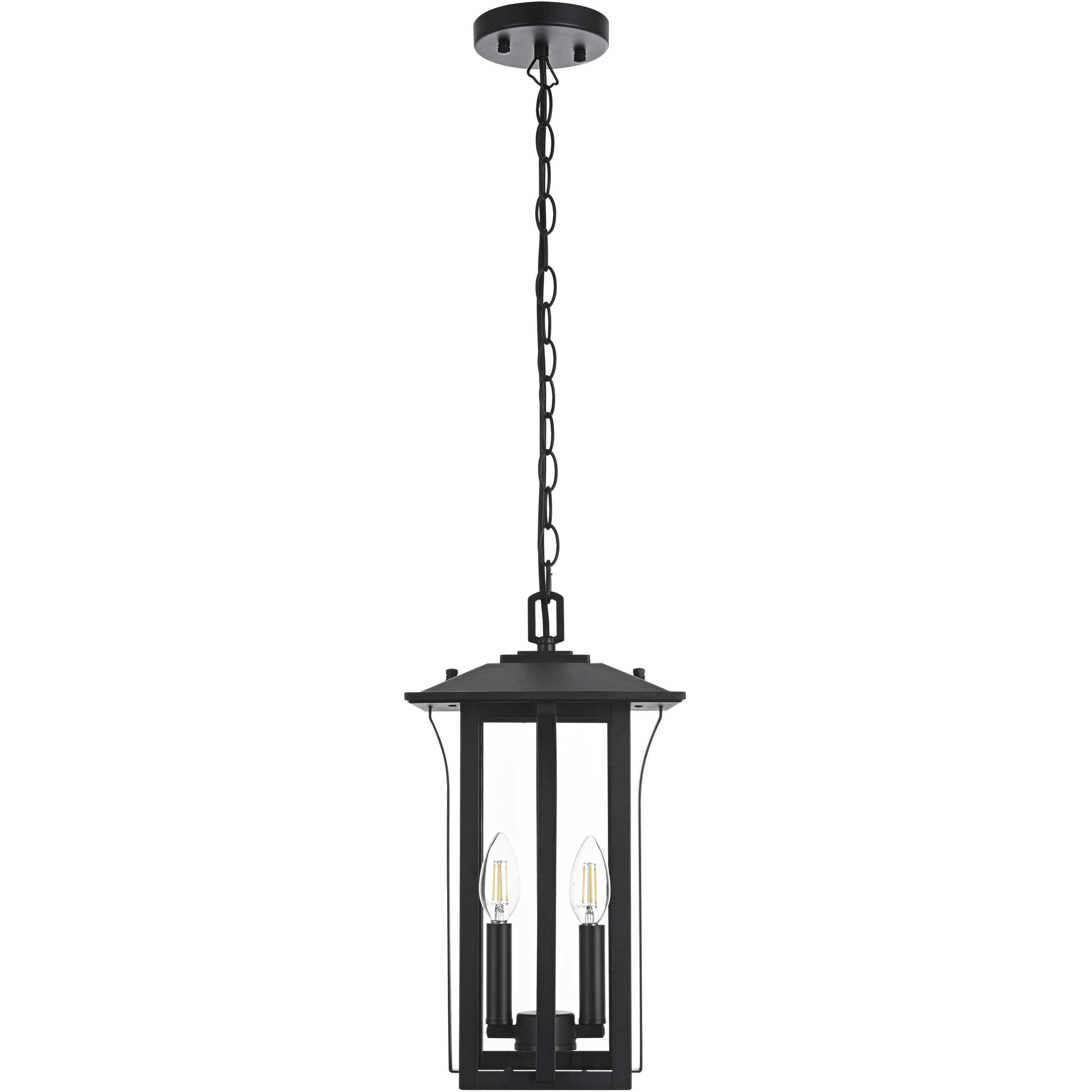 Thayer 2 Light 9 inch Black Outdoor Pendant