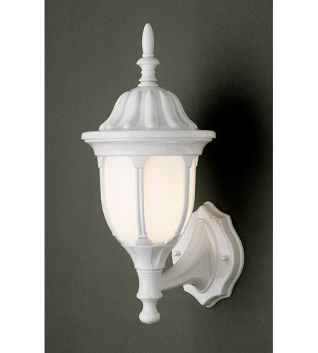 Hamilton 1 Light 13 inch White Outdoor Wall Lantern