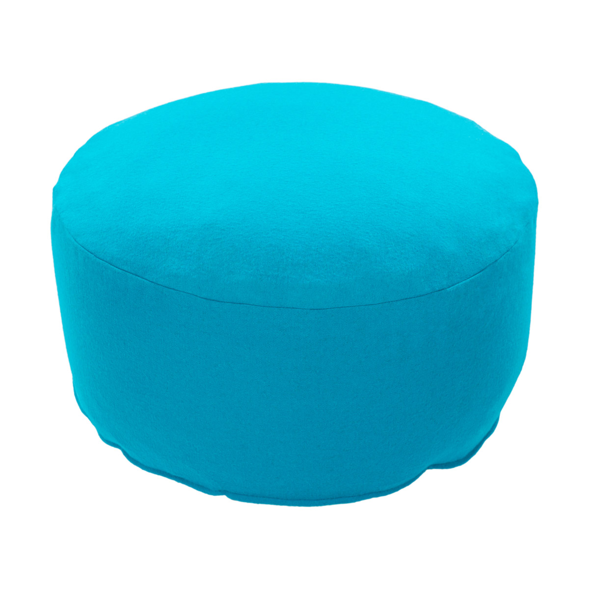 Shane Aqua Pouf