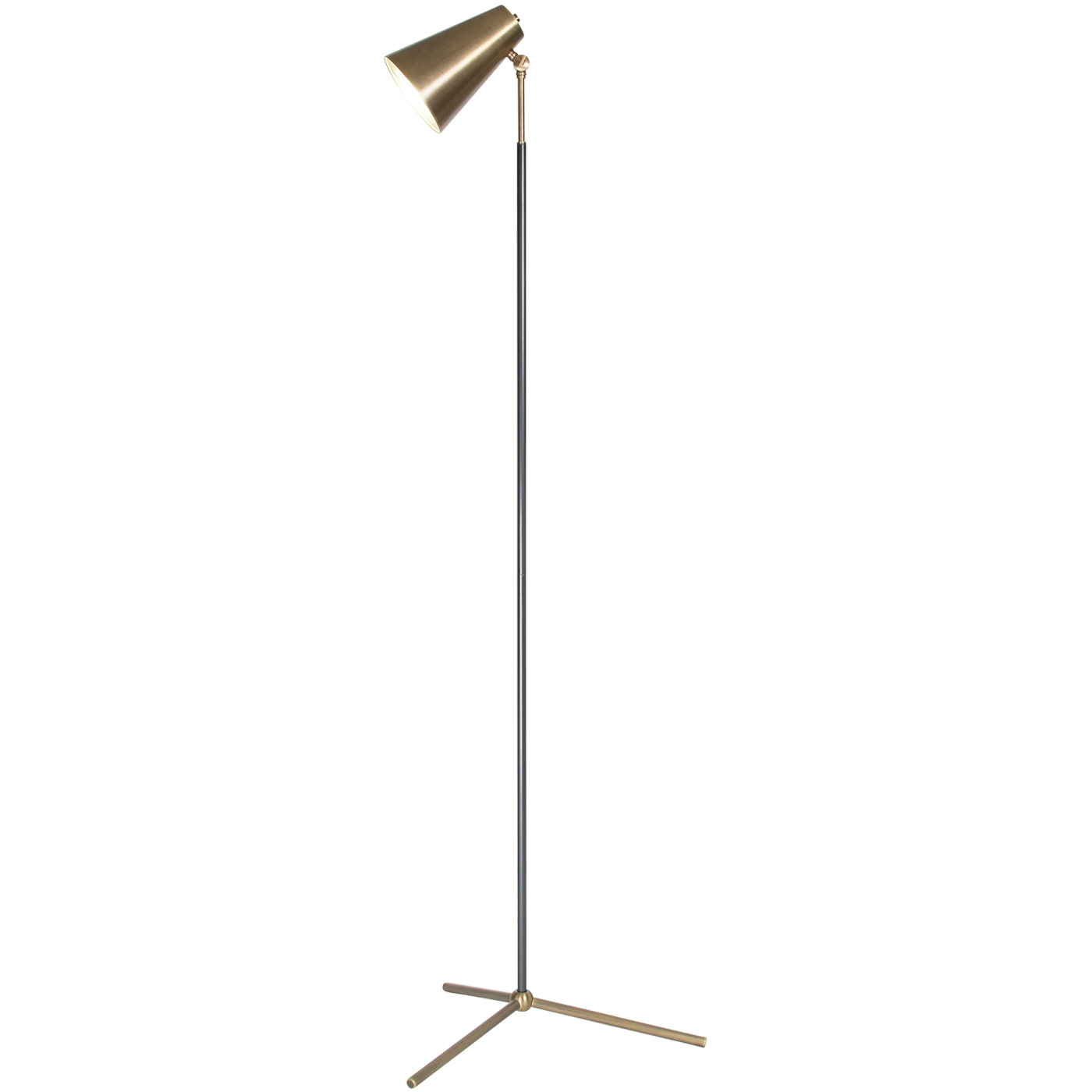Maggie 65.5 inch 60.00 watt Antique Brass Floor Lamp Portable Light