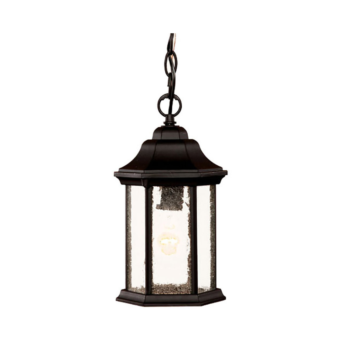 Madison 1 Light 6.25 inch Matte Black Exterior Hanging Lantern in Seeded