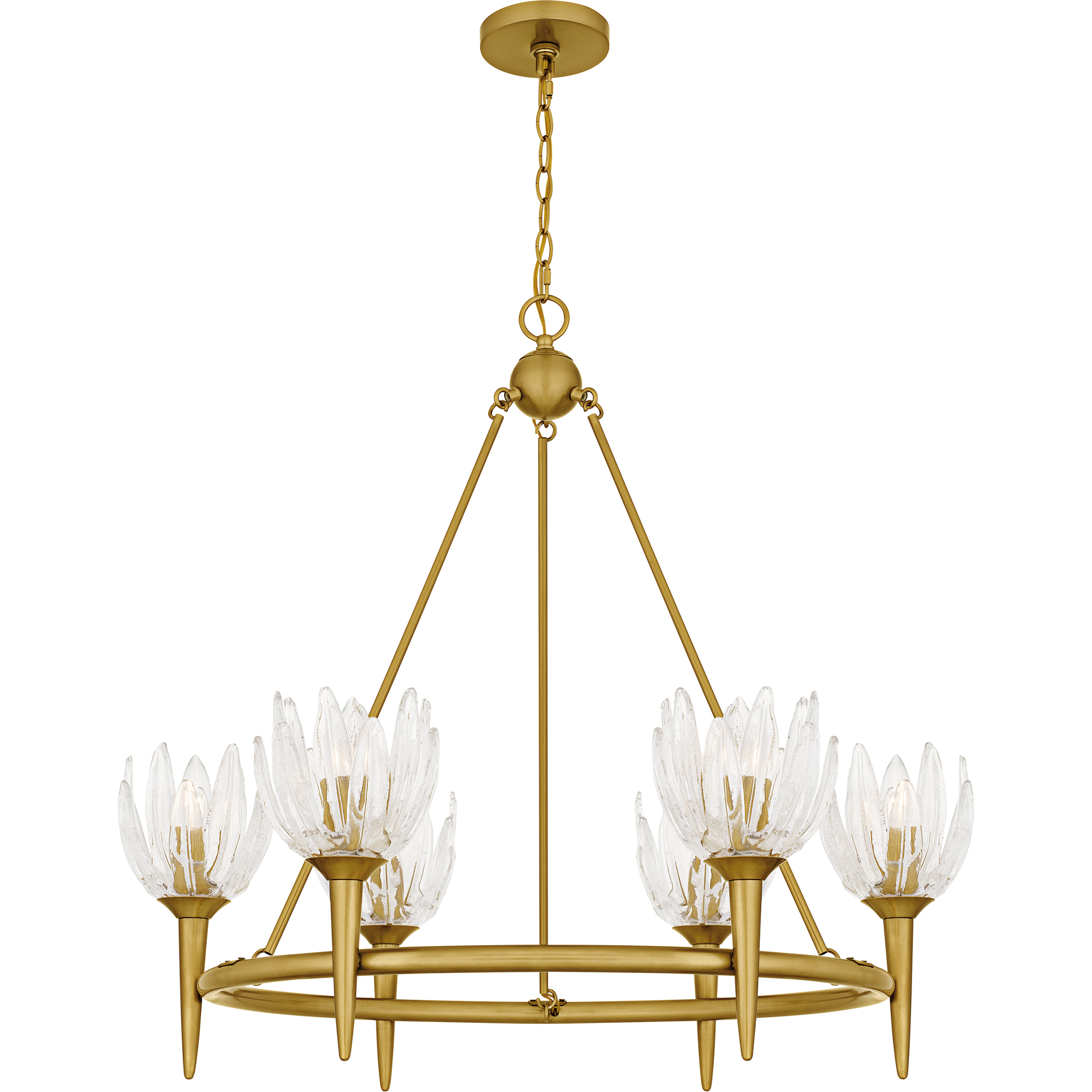 Shea 6 Light 31 inch Brushed Gold Chandelier Ceiling Light