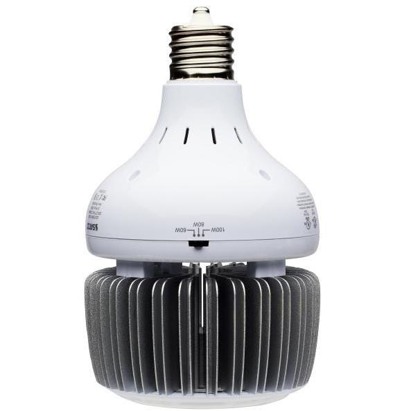 Hi-Pro LED LED Mogul Extended 5000K HID Replacements