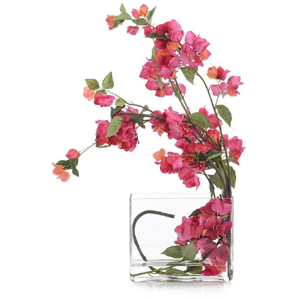 Sweet Bougainvillea Botanical, Fresh Water Look