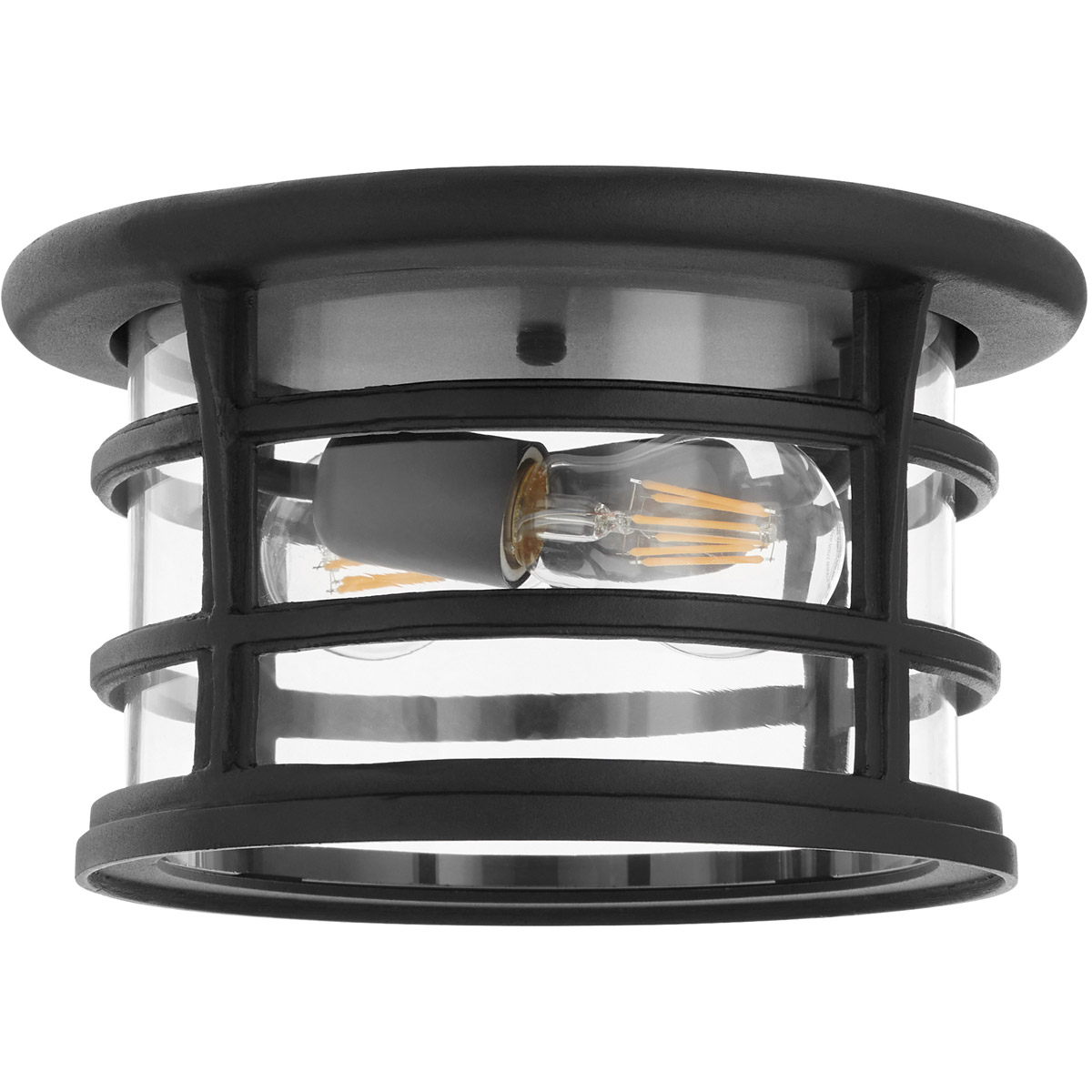 Haley 2 Light 11 inch Noir Outdoor Flush Mount