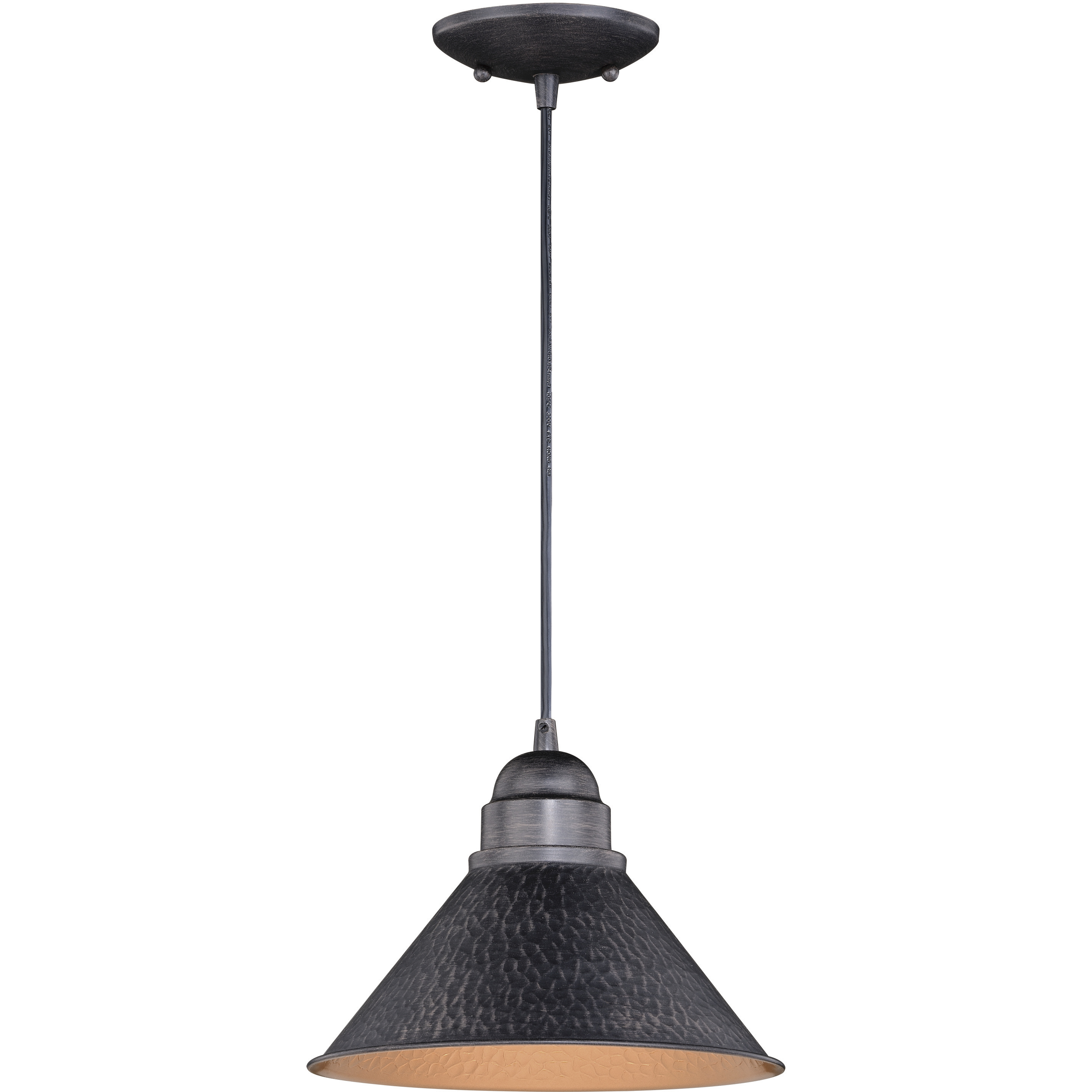 Outland LED 10 inch Aged Iron and Light Gold Outdoor Pendant