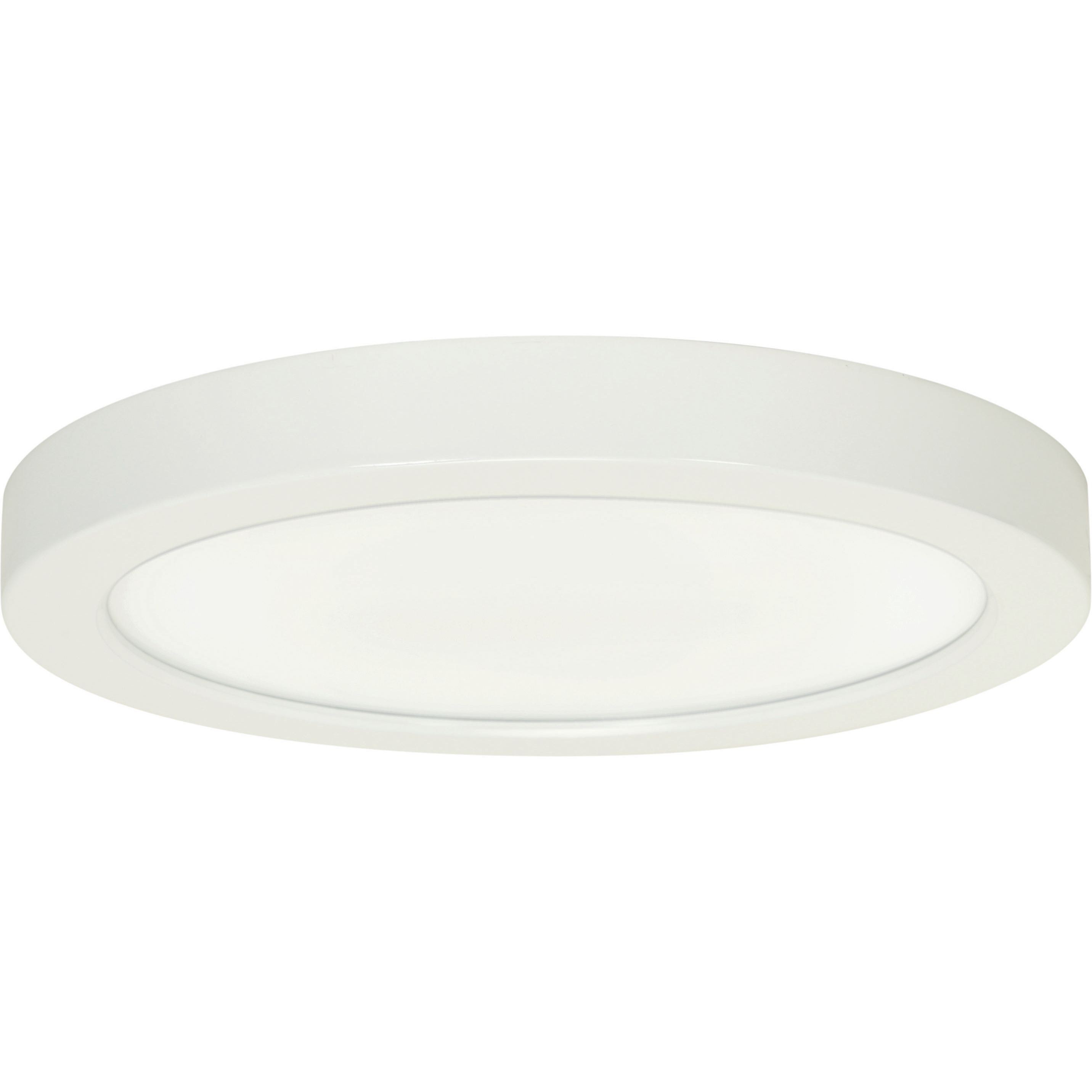 Heartland LED 9 inch White Flush Mount Ceiling Light, BLINK