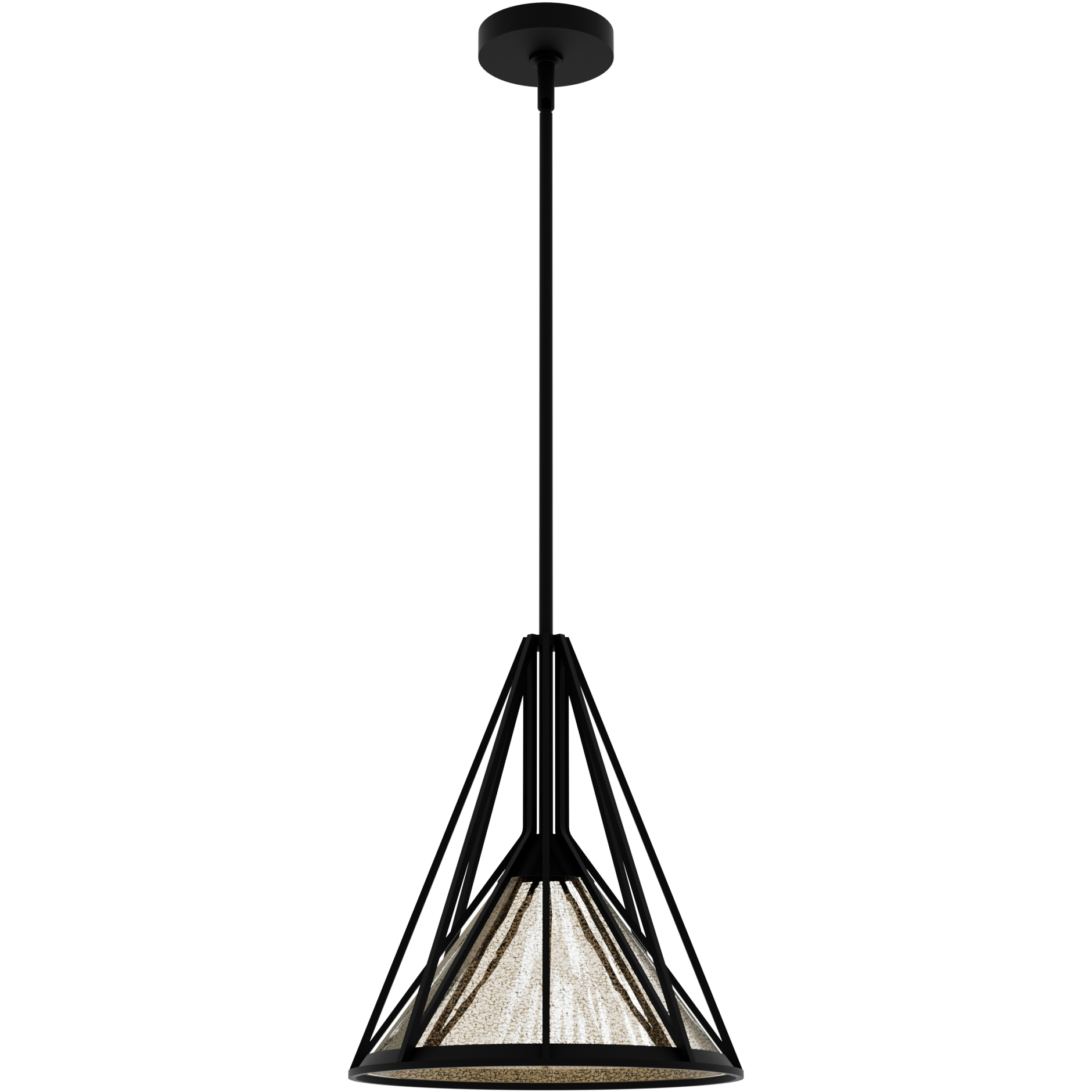 Rafner 1 Light 13 inch Natural Black Iron Pendant Ceiling Light, Medium