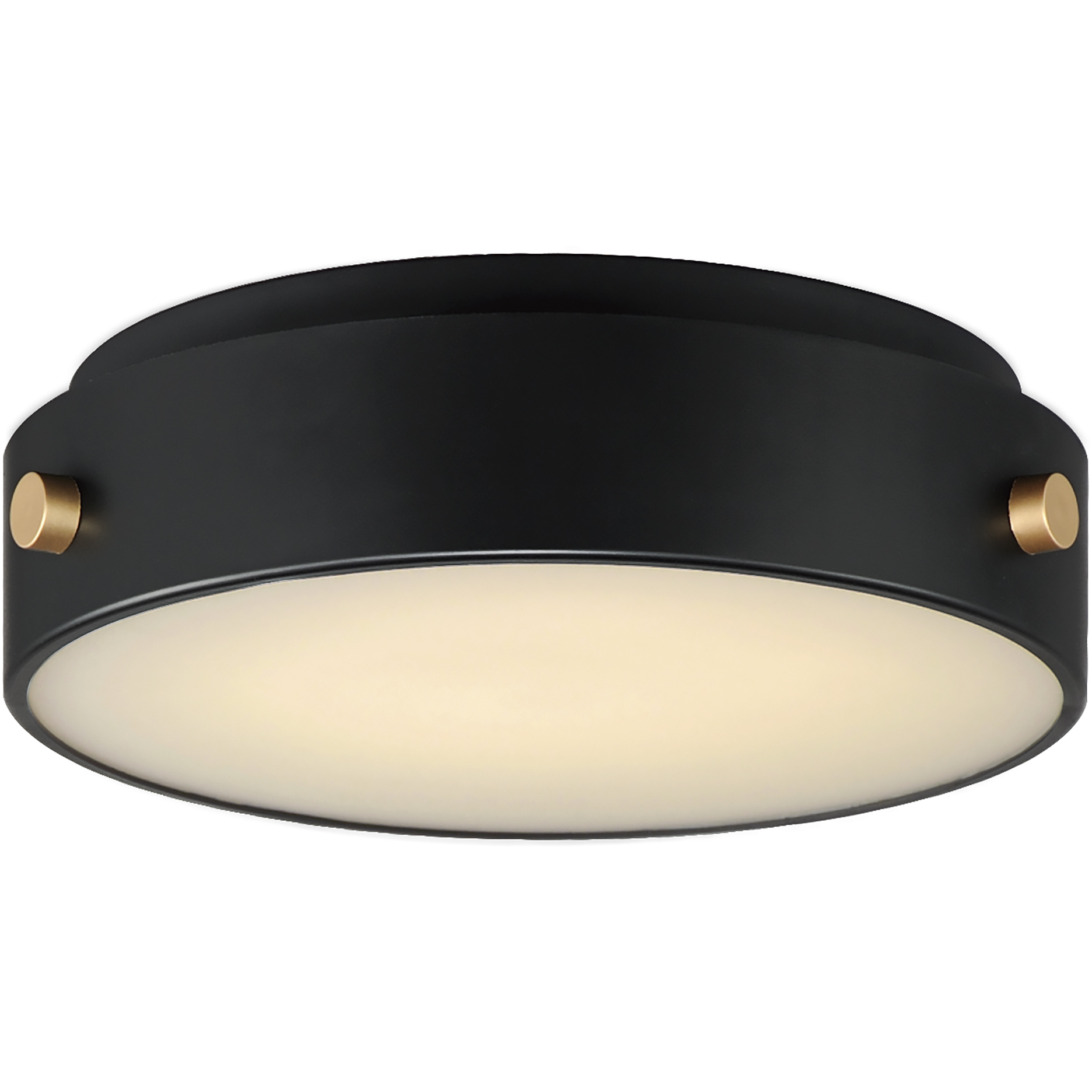 Rivet LED 12 inch Black and Antique Brass Outdoor Flush Mount