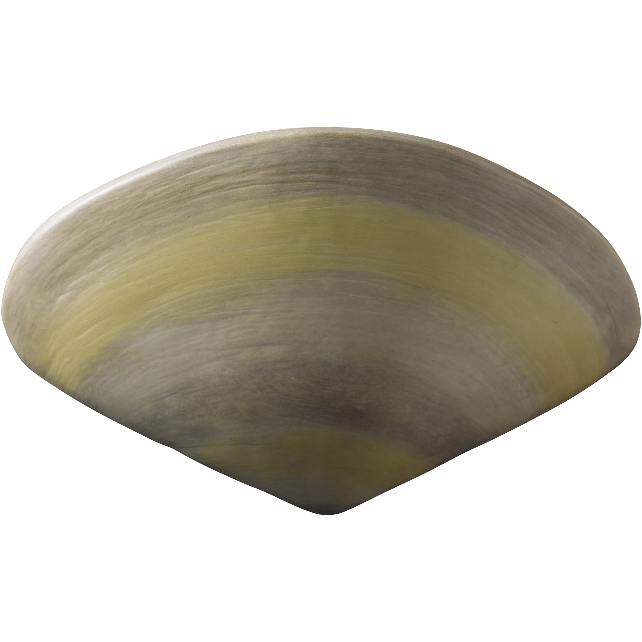 Ambiance LED 11.5 inch Clam Shell Wall Sconce Wall Light