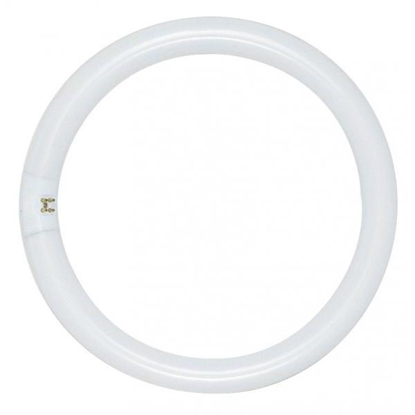Lumos Fluorescent 32 watt 4100K Light Bulb, Circline - T5-T6-T9