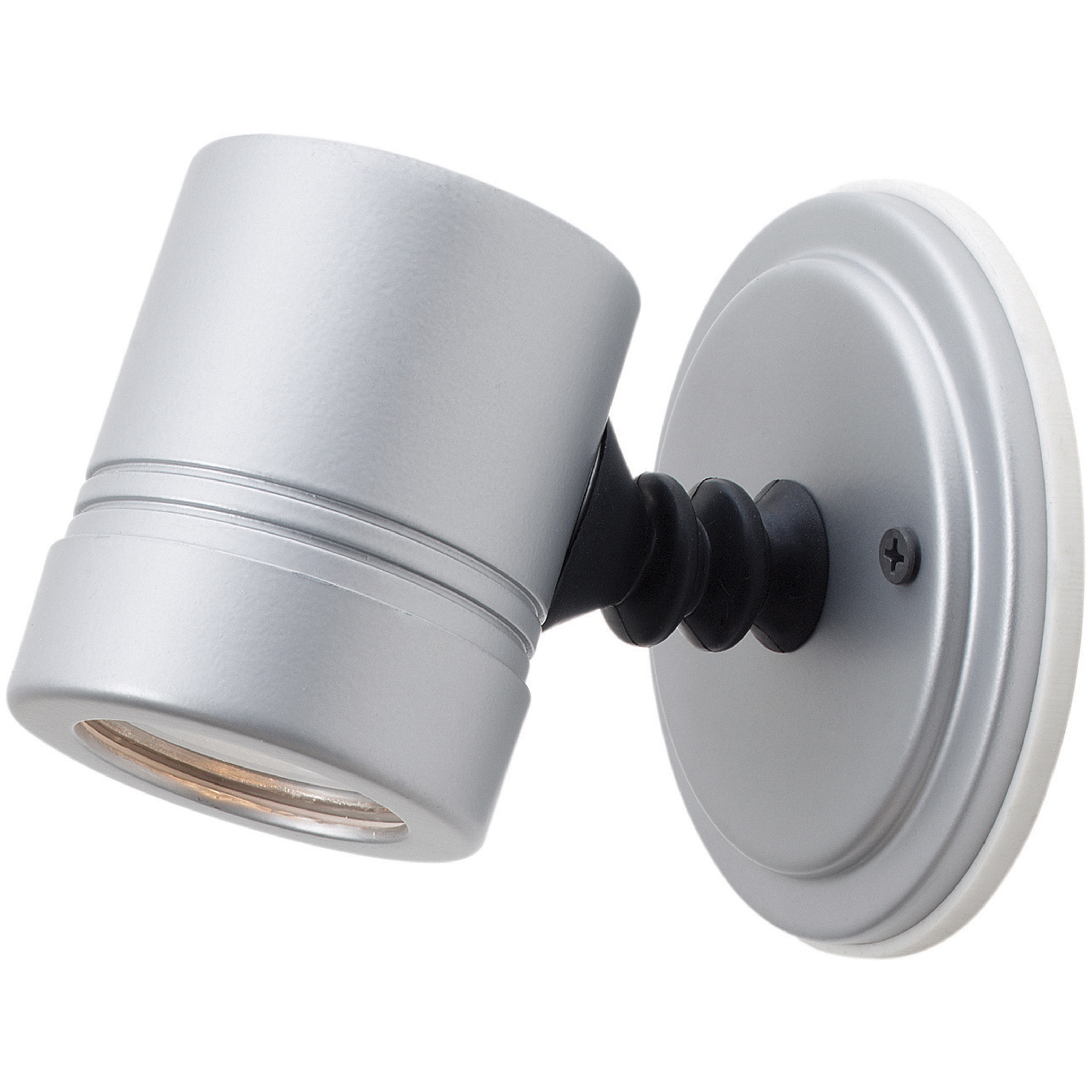 Myra 1 Light 4.5 inch Silver Outdoor Spotlight