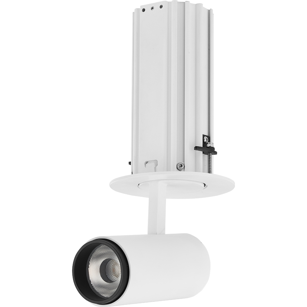 TELESCOPICA Series White Recessed Downlight