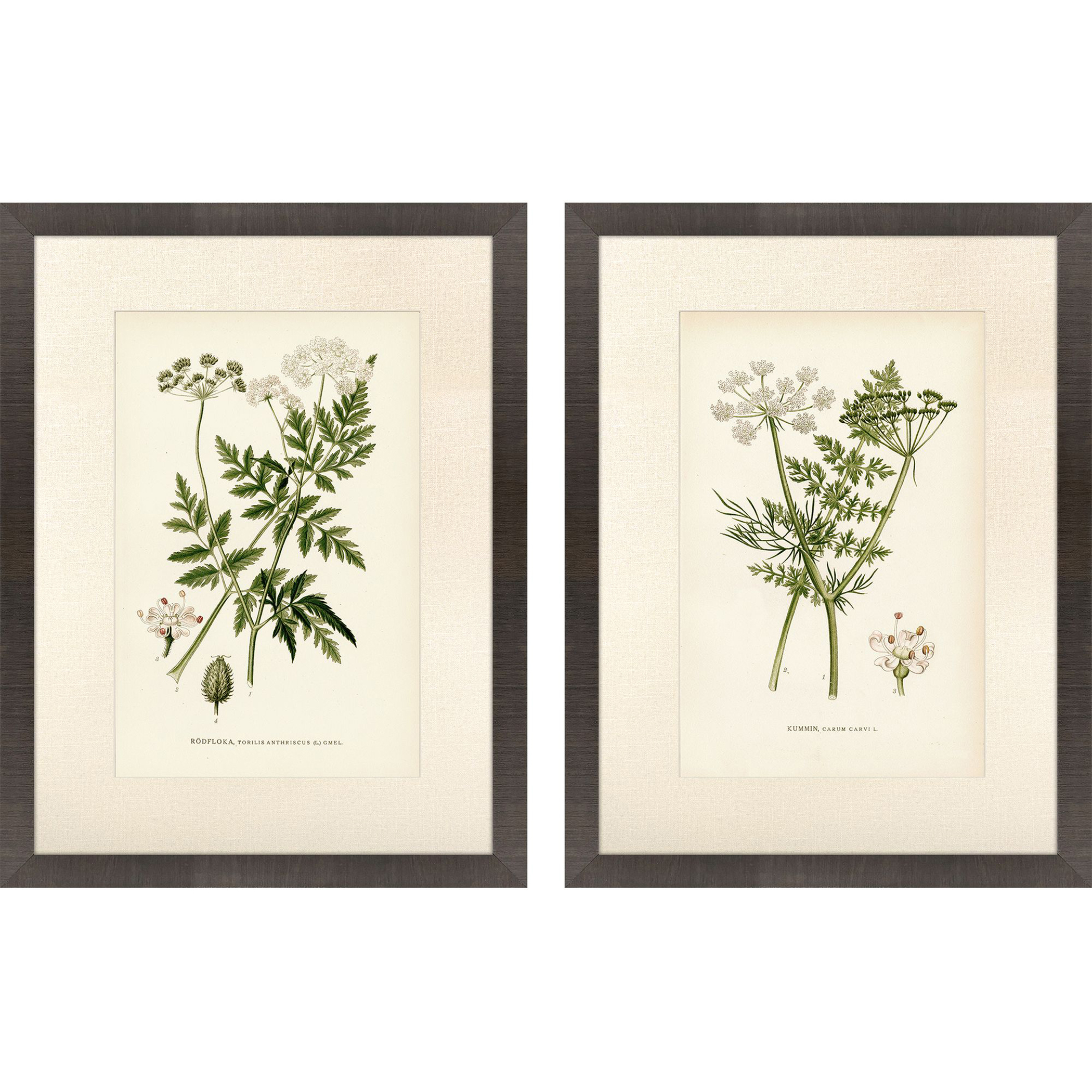 Queen's Lace Green and Neutral Framed Art, Propac
