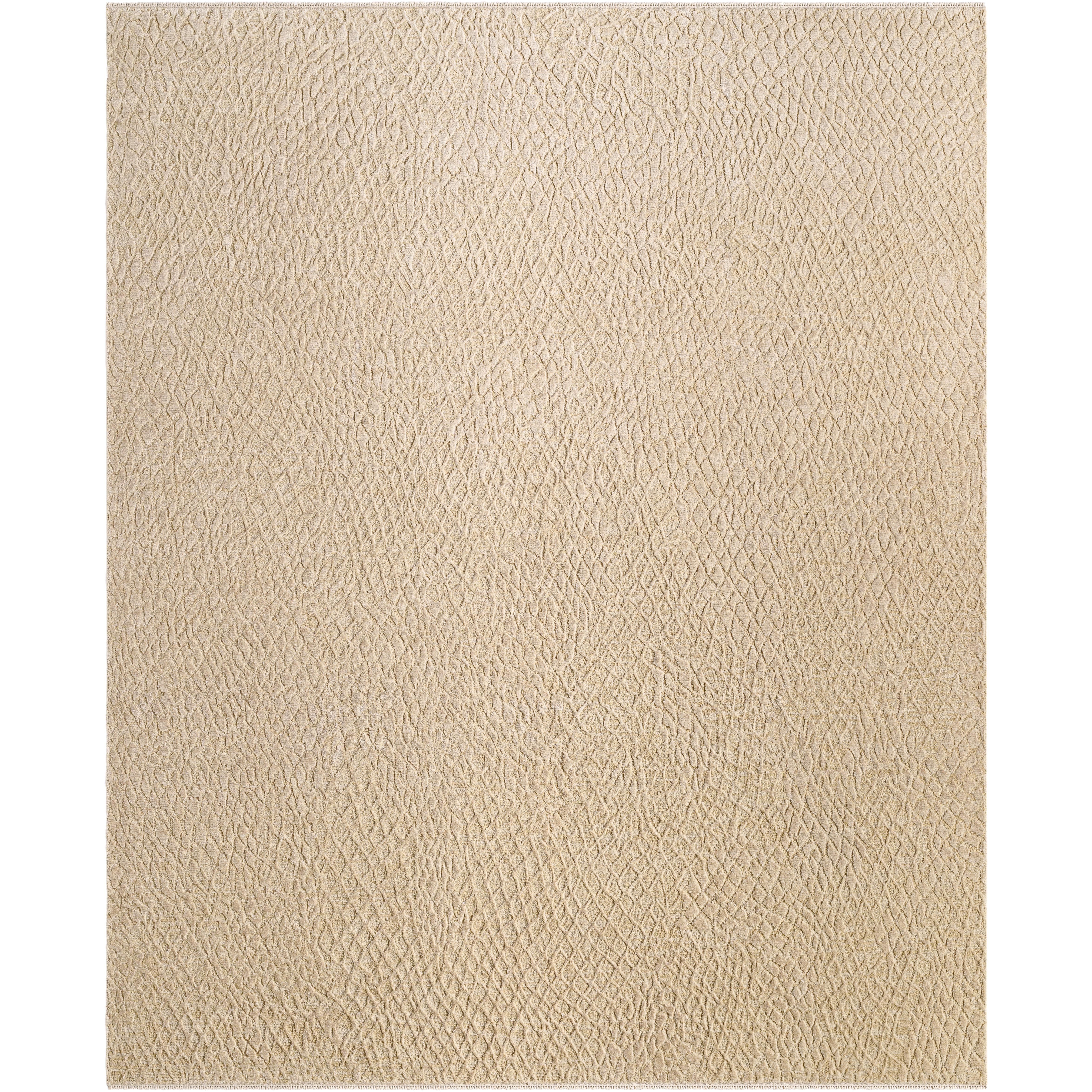 Reyyan 168 X 120 inch Rug