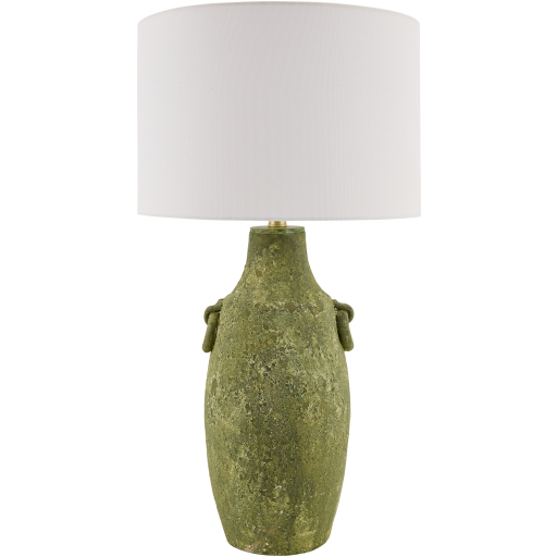 Beraliya 29.5 inch 100 watt Hand Painted and Plated Accent Table Lamp Portable Light