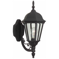 Straight Glass 1 Light 18 inch Textured Black Outdoor Wall Mount, Small