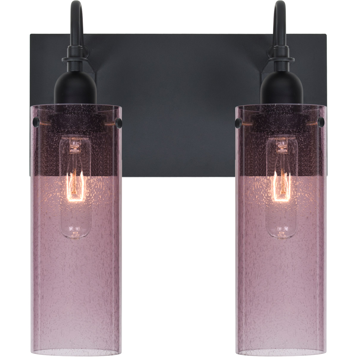 Juni 10 2 Light 12 inch Black Vanity Wall Light in Plum Bubble Glass