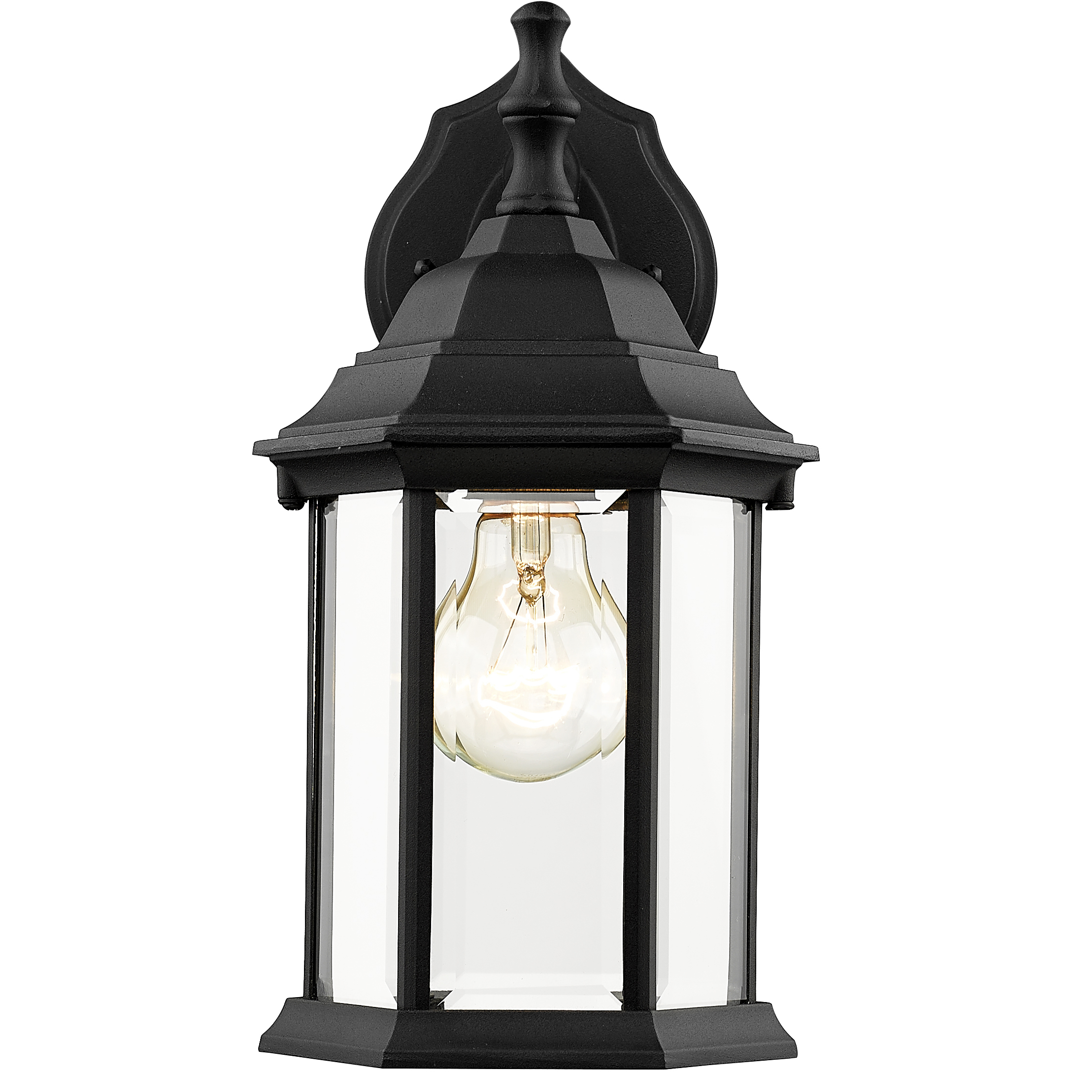 Waterdown 1 Light 11.75 inch Black Outdoor Wall Light