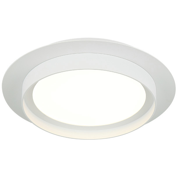 Iris LED 12 inch Matte White Flush Mount Ceiling Light